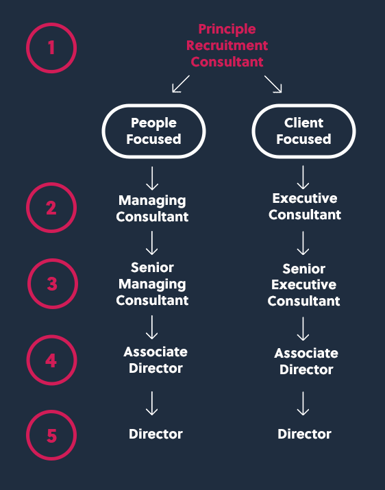 infographic showing the paths after becoming principle recruitment consultant