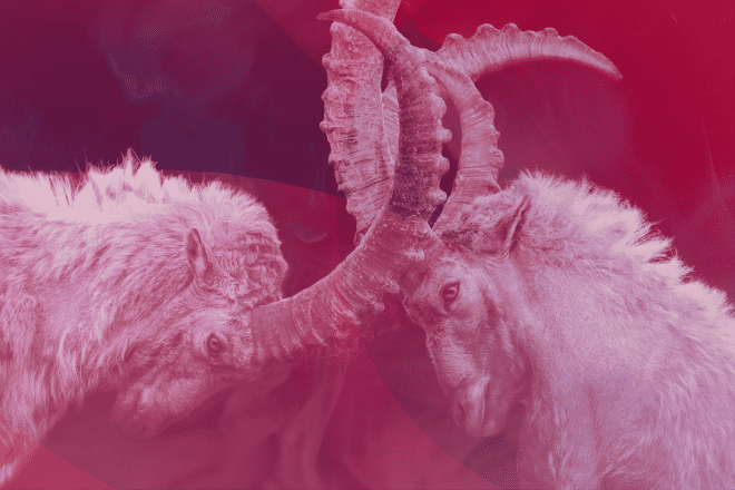 Goats butting heads in red tones